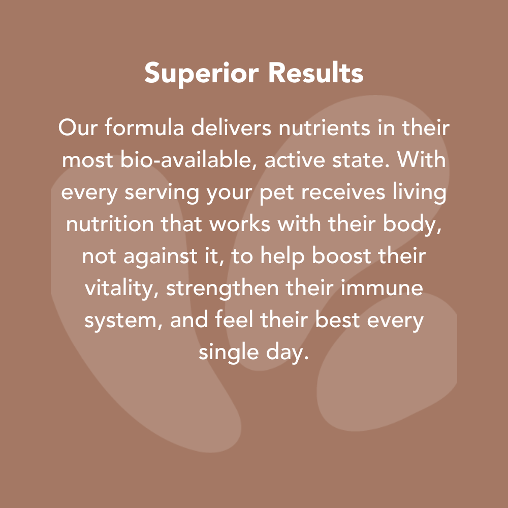 Daily Probiotic and Mineral Supplement for Dogs and Cats