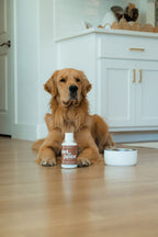 Daily Probiotic and Mineral Supplement for Dogs and Cats