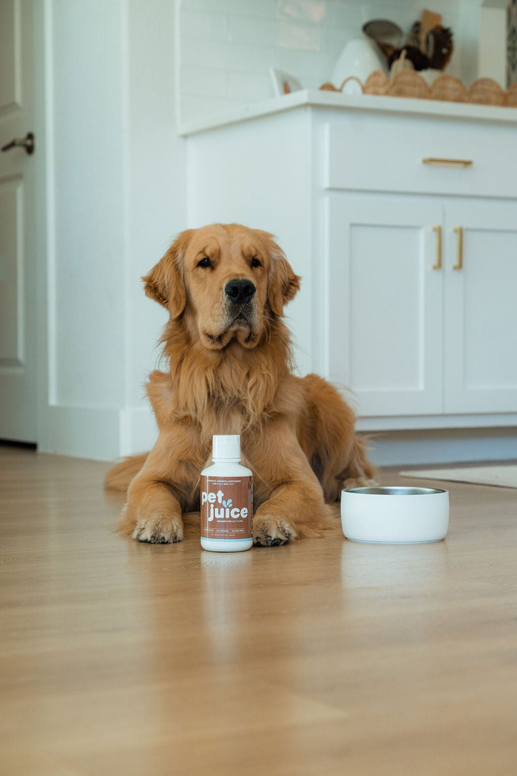 Daily Probiotic and Mineral Supplement for Dogs and Cats