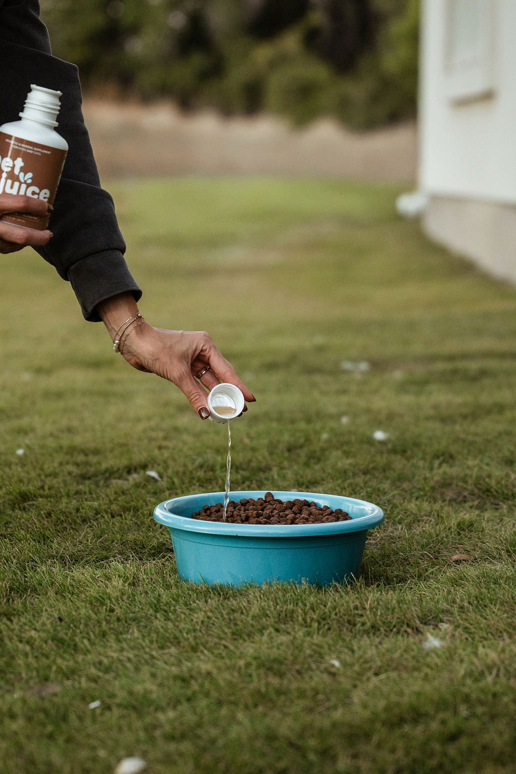 Daily Probiotic and Mineral Supplement for Dogs and Cats